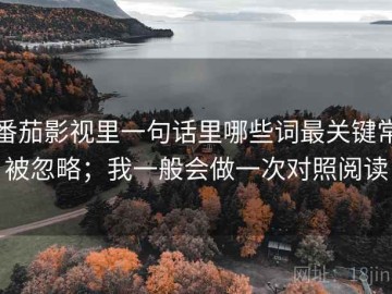 番茄影视里一句话里哪些词最关键常被忽略；我一般会做一次对照阅读